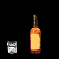 Scotch Whisky Association